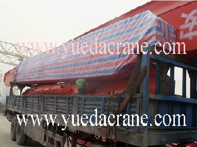 single girder EOT crane to Tanzania