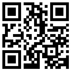 the qr code